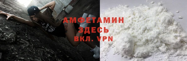 дживик Белокуриха