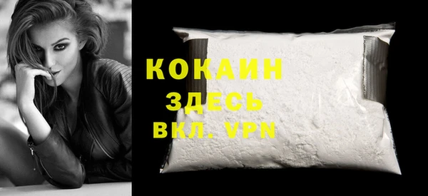 дживик Белокуриха