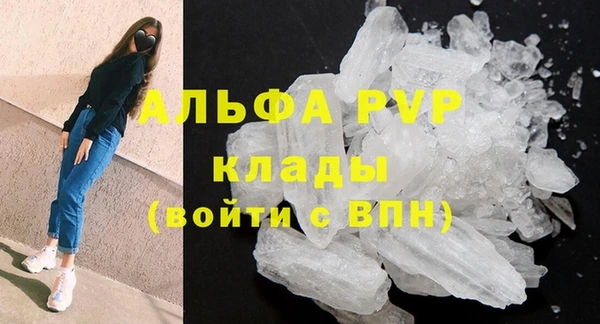 гашик Беломорск