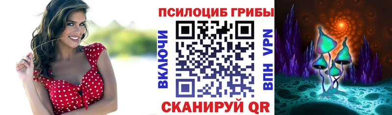 где можно купить   Плёс  ОМГ ОМГ маркетплейс  Галлюциногенные грибы GOLDEN TEACHER 