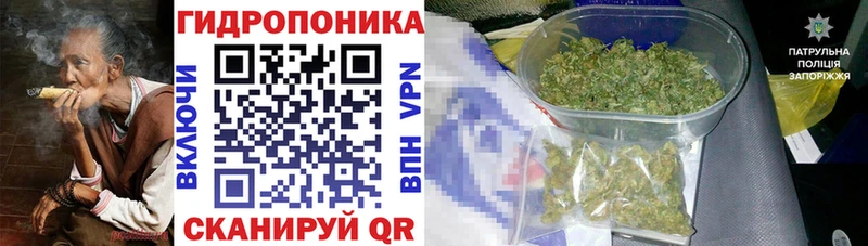 Шишки марихуана MAZAR  omg ТОР  Плёс 
